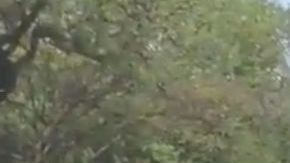 78 personas fueron detenidas previo al Nacional vs Medellín