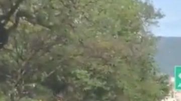 78 personas fueron detenidas previo al Nacional vs Medellín