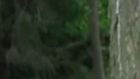 Dulce María Alaves (5)