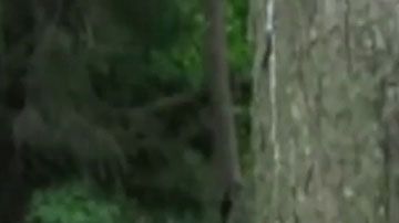 Dulce María Alaves (5)