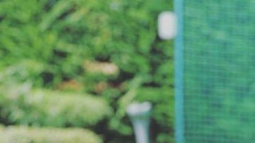 El pequeño se ha convertido en una estrella de internet por su graciosa personalidad