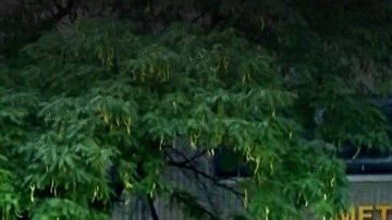 Centro Correccional Metropolitano, Bajo Manhattan