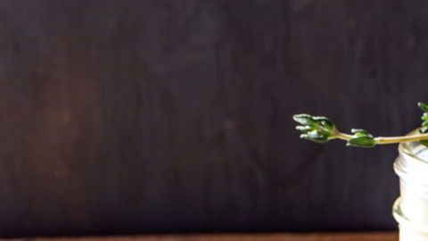 Complementa el consumo de esta sopa con una dieta baja en calorías, abundantes líquidos y actividad física.