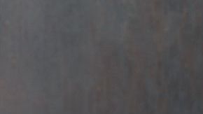 El consumo de calabacín tiene una significativa presencia de vitaminas del grupo B, esenciales para obtener energía. También destaca por su contenido en ácido fólico, indicado para fortalecer el sistema inmunitario y el sistema nervioso.