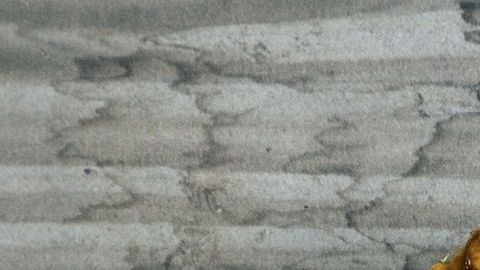 El consumo de palanquetas de cacahuate favorece la disminución del colesterol malo y contiene un aporte significativo en vitamina E y minerales que ayudan a oxigenar la sangre.