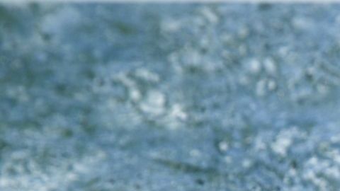 Una de las mejores recomendaciones para cuidar tu salud y peso adecuado, es preparar tus propios postres; de esta manera podrás utilizar ingredientes saludables y con pocas calorías.