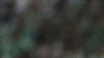 Los partidos entre México y Estados Unidos siempre sacan chispas.