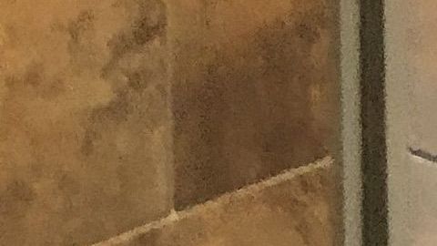 Miguel García, dueño de Dalila’s Pet Gromming,  con uno de sus perros.