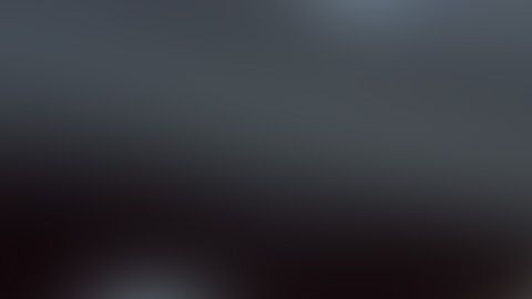 Molly acaparó más de una mirada durante la pelea de su cuñado