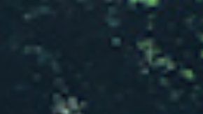 Volkswagen remueve a The Beatles por una buena causa