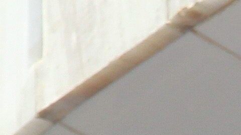 Naasón Joquín García  oficia una misa en la ciudad de Guadalajara, en agosto de 2015.