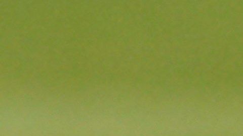 El brasileño Neymar nuevamente no podrá verse las caras con el Real Madrid.