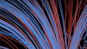 Imagen de la simulación.