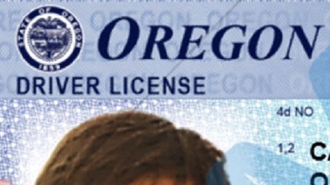 Desde 2015, Oregon tramita licencias a indocumentados.