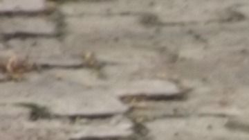 El incendio lo causó una mujer quemando cartas de amor.