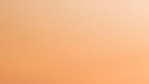 Hay una forma de saber si tus vidrios están protegidos bajo tu seguro de auto: en el tipo de cobertura que pagas