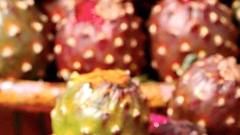 La pitaya también es nombrada fruta del dragón, es representativa de Oaxaca México y aporta espectaculares beneficios para la salud. Es un excelente aliado para tratar la diabetes y diversos problemas digestivos.