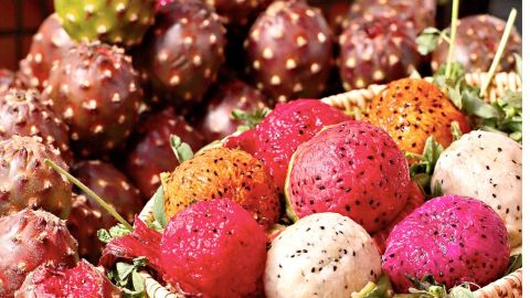 La pitaya también es nombrada fruta del dragón, es representativa de Oaxaca México y aporta espectaculares beneficios para la salud. Es un excelente aliado para tratar la diabetes y diversos problemas digestivos.