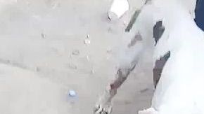 Pitbull come miembro de supuesto violador en México