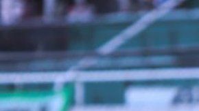 El canino se aburrió cuando acudió a apoyar al Nueva Chicago de Argentina