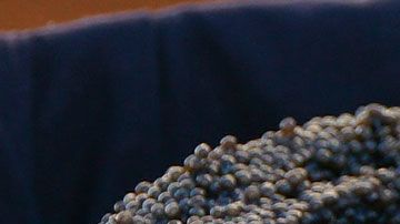 Su relación con la aristocracia es uno de los factores que influyen en su alto precio.