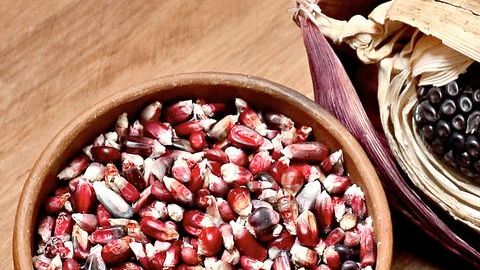 Las tortillas son una fuente natural y saludable de energía, su consumo esta recomendado para mejorar el rendimiento físico y mental del organismo.