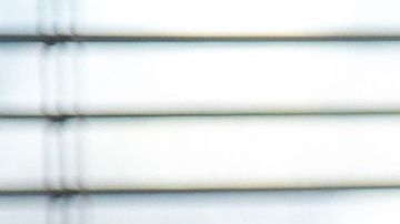 Dependiendo tu signo, las plantas harán un efecto especial en tu hogar.