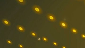 Los Premios de la Radio de Estrella TV