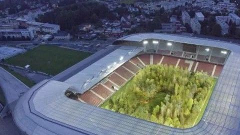 La intención de hacer conciencia sobre el cambio climático y la deforestación