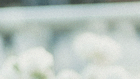 Ahora no te sentirás mal por no darle nada a tu perrito cuando vayas por tu bebida de Starbucks.