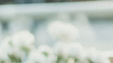 Ahora no te sentirás mal por no darle nada a tu perrito cuando vayas por tu bebida de Starbucks.