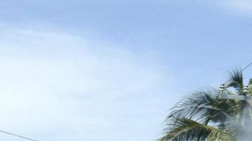 Criminales queman bus en Acapulco.