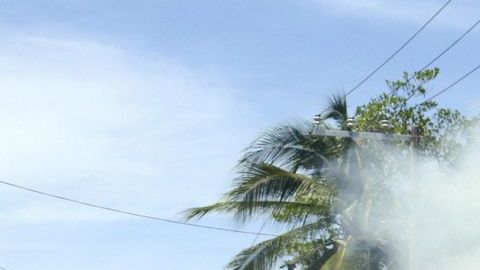 Criminales queman bus en Acapulco.