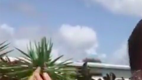 El residente y su plan.