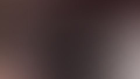 A los fanáticos que siguieron la trasmisión a través de Instagram les tocó ver más que los festejos.