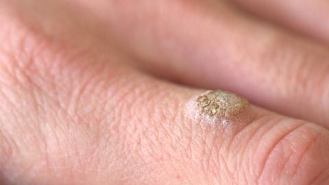 shutterstock_1053490847