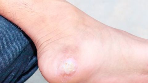 shutterstock_1084841669