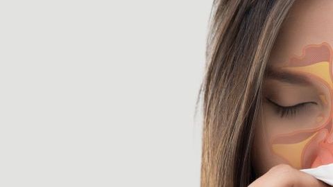 shutterstock_1099461335