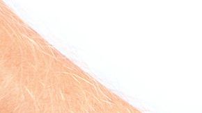 El empresario y excandidato a alcalde de Chicago Willie Wilson anunció que realizará un sorteo gratuito de gasolina y comestibles este fin de semana.