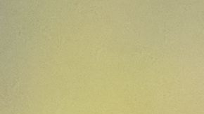 shutterstock_1219858987