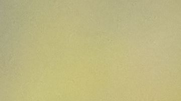 shutterstock_1219858987