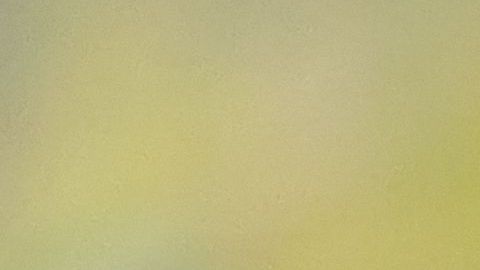 shutterstock_1219858987