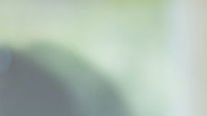 shutterstock_244343527