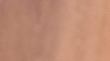 shutterstock_316143422