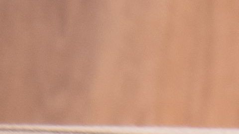 shutterstock_316143422