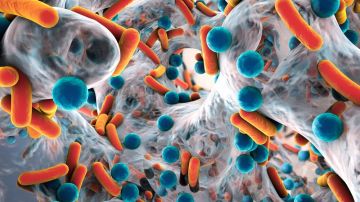 Las bacterias resistentes a los antibióticos son una amenaza mundial.