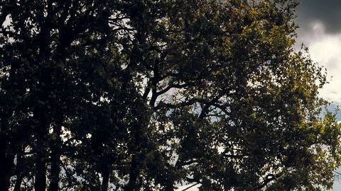 shutterstock_472595719