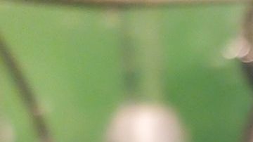 3 miembros de la misma familia ganaron el mismo premio con solo unas horas de diferencia.