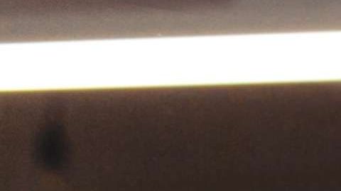 shutterstock_553195012