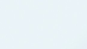 shutterstock_691149244